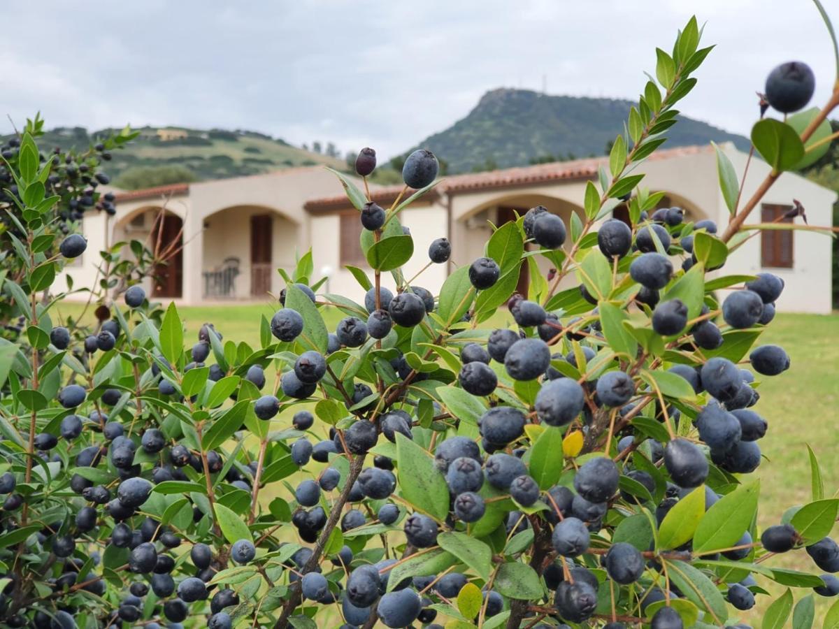 La Casa Di Spinosella Lägenhet Valledoria  Exteriör bild